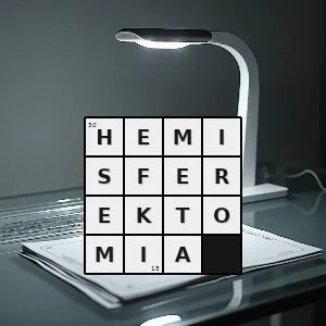 Hasło krzyżówkowe resekcja jednej półkuli mózgu stosowana przy leczeniu ciężkich form padaczki - hemisferektomia – rozwiązanie, synonimy, podpowiedzi i definicje krzyżówkowe