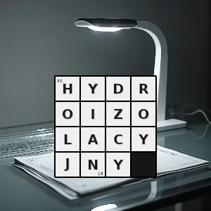 Hasło krzyżówkowe związany z hydroizolacją - hydroizolacyjny – rozwiązanie, synonimy, podpowiedzi i definicje krzyżówkowe