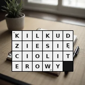 Hasło krzyżówkowe taki który składa się z kilkudziesięciu liter - kilkudziesięcioliterowy – rozwiązanie, synonimy, podpowiedzi i definicje krzyżówkowe