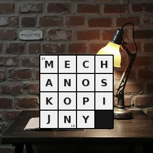 Hasło krzyżówkowe mechanoskopia - mechanoskopijny – rozwiązanie, synonimy, podpowiedzi i definicje krzyżówkowe