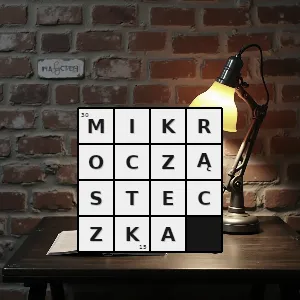 Hasło krzyżówkowe bardzo mała cząsteczka - mikrocząsteczka – rozwiązanie, synonimy, podpowiedzi i definicje krzyżówkowe