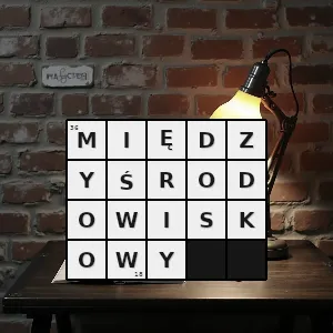 Hasło krzyżówkowe związany z różnymi środowiskami łączący ludzi pochodzących z różnych środowisk - międzyśrodowiskowy – rozwiązanie, synonimy, podpowiedzi i definicje krzyżówkowe