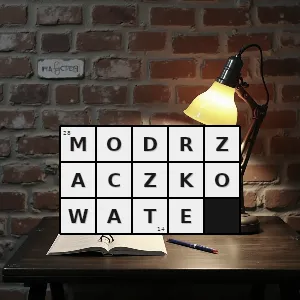 Rozwiązanie krzyżówki: bielistkowate - modrzaczkowate | hasła, synonimy i podpowiedzi Hasło krzyżówkowe bielistkowate - modrzaczkowate – rozwiązanie, synonimy, podpowiedzi i definicje krzyżówkowe