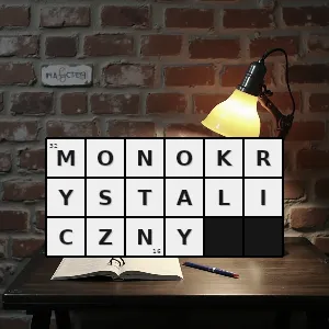 Hasło krzyżówkowe taki który ma postać jednego kryształu jest monokryształem składa się z pojedynczego kryształu jego strukturę budują monokryształy - monokrystaliczny – rozwiązanie, synonimy, podpowiedzi i definicje krzyżówkowe