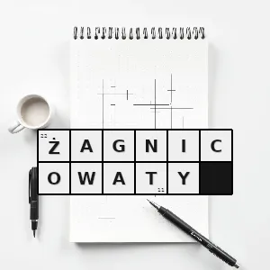 Hasło krzyżówkowe o owadach taki który ma cechy rodziny żagnicowanych zaliczanych do ważek różnoskrzydłych - żagnicowaty – rozwiązanie, synonimy, podpowiedzi i definicje krzyżówkowe