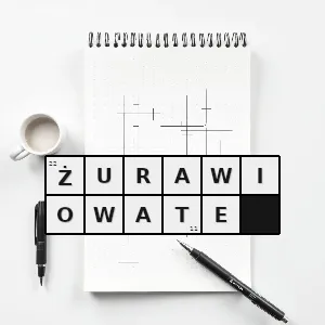 Hasło krzyżówkowe żurawie właściwe - żurawiowate – rozwiązanie, synonimy, podpowiedzi i definicje krzyżówkowe